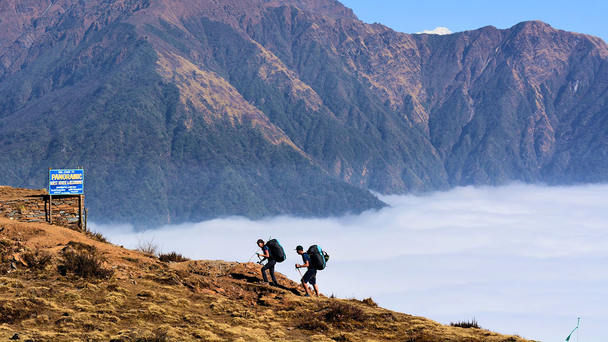 TEKO ecoHIKE merino EXODUS - skarpety trekkingowe z wełną merino